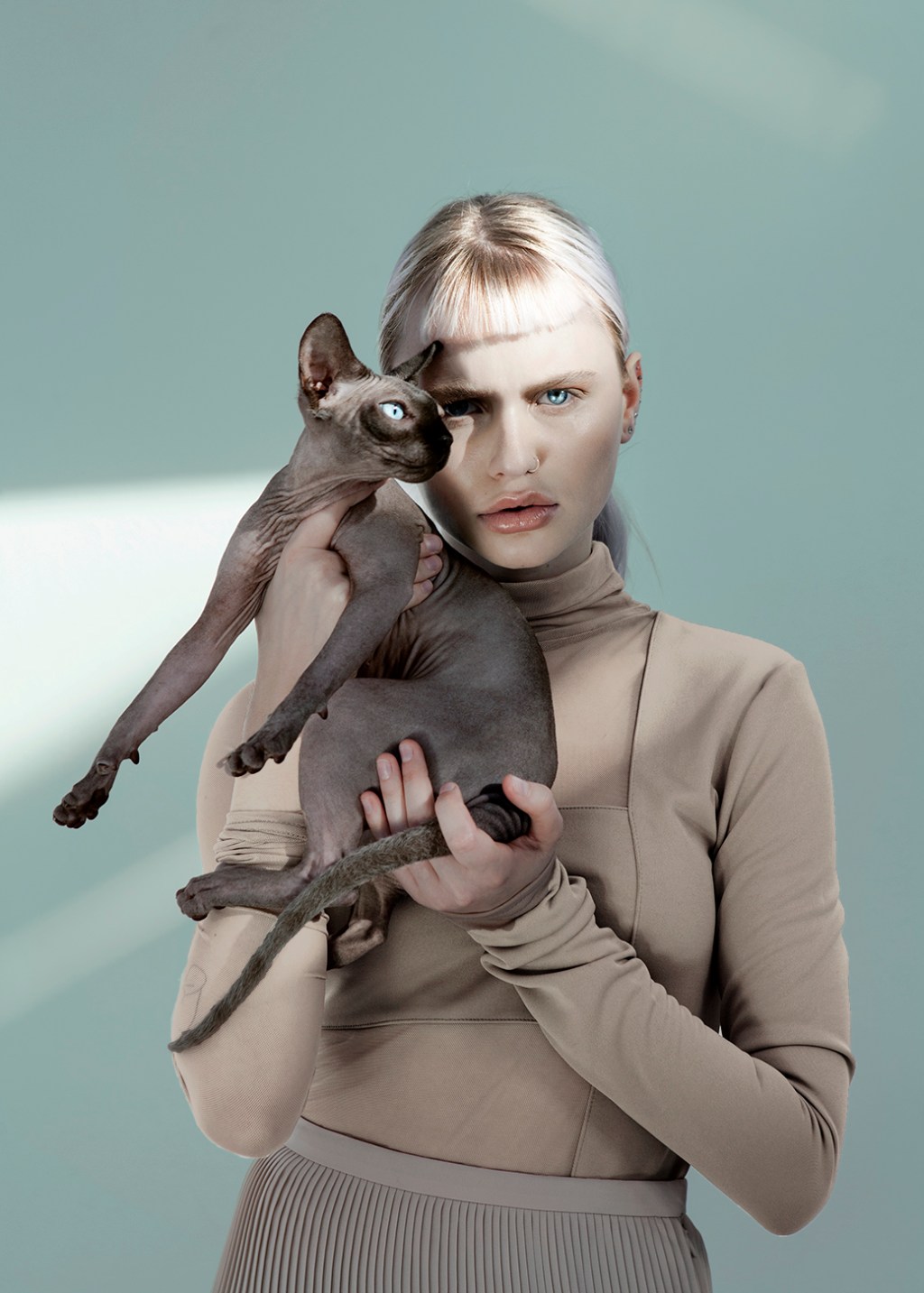 From Amateur Photos to Professional Paws and&nbsp;back.